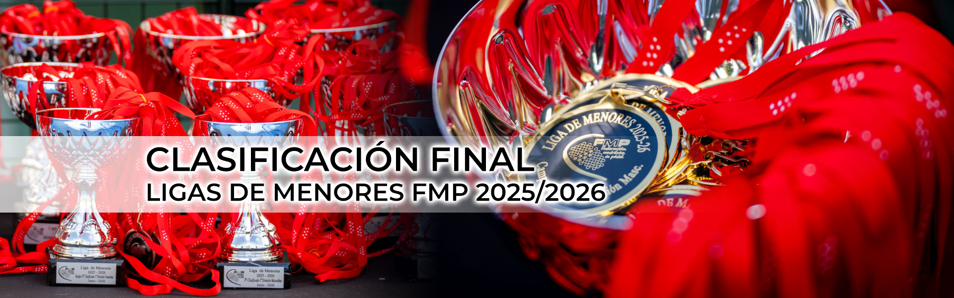 CLASIFICACIÓN FINAL - LIGAS DE MENORES FMP 2025/2026